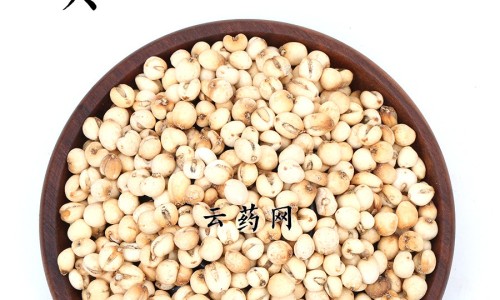 儿茶功效与作用网 - 网站提供儿茶功效作用与主治功能是什么小常识、专茶的功效与作用