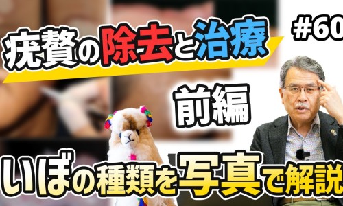 儿茶功效与作用-儿茶功效与作用网 - 网站提供儿茶功效作用与主治功能是什么小常识、专茶的功效与作用